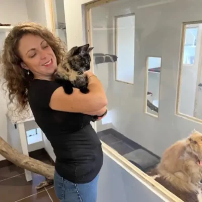 felins pour lhote-portrait2