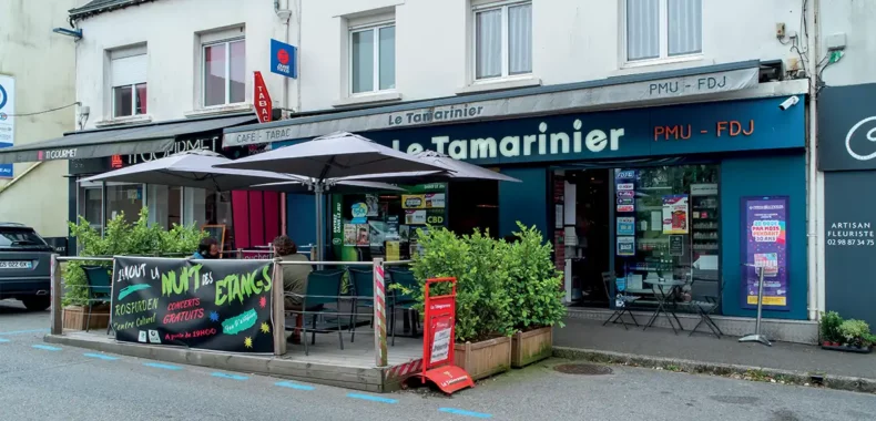 le tamarinier-bandeau