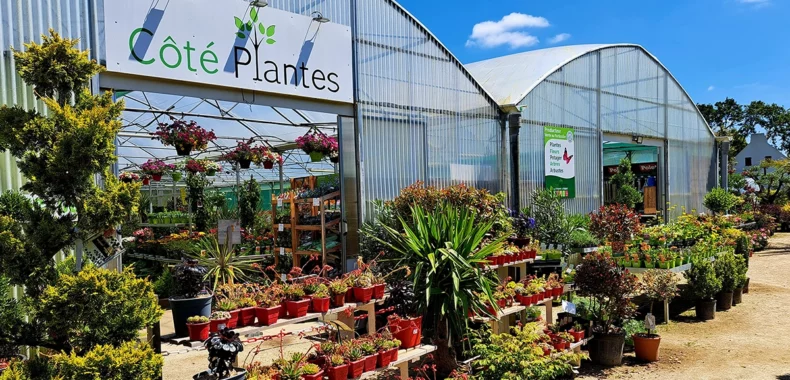 photo commerce photo commerce